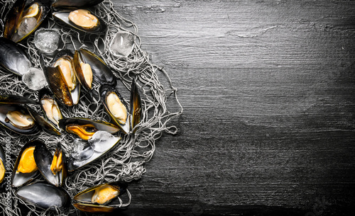 Clams on the fishing net. On black wooden background. photo