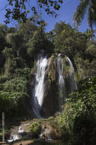 Waterfall in a lush rainforest.