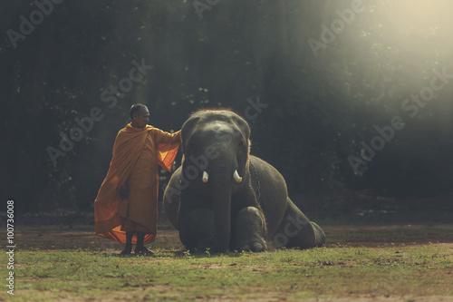 monk with elephant