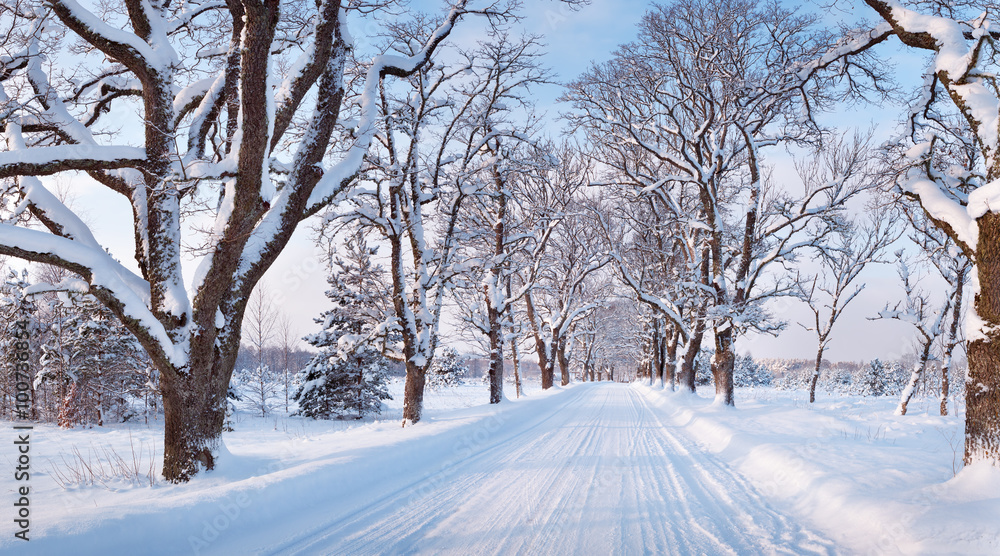 Obraz premium winter road in the morning