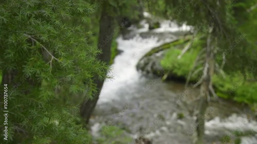 Pan shot of beaufitul forest and stream Pan shot of beaufitul forest and stream
