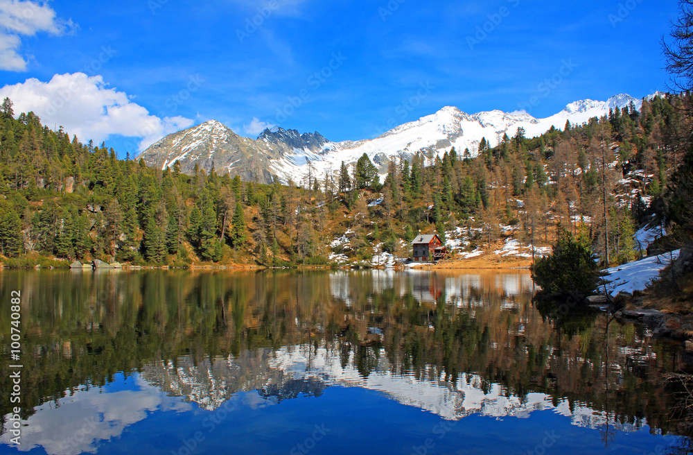 Fototapeta premium Der Reedsee im Frühling