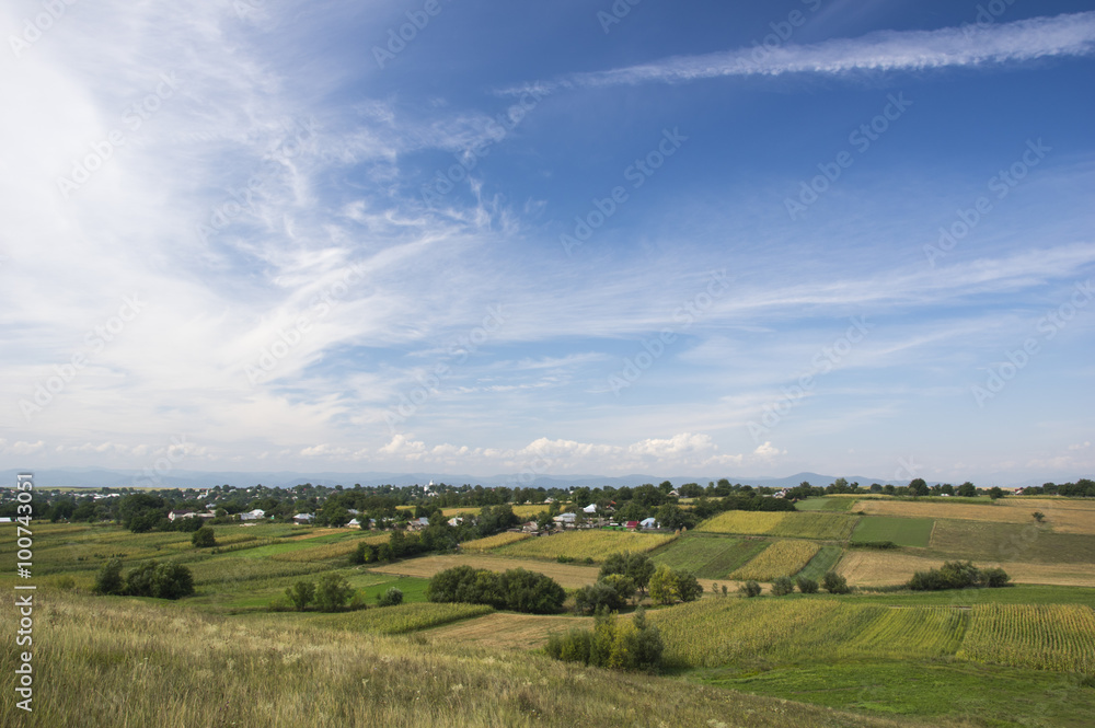 Village on summer fields