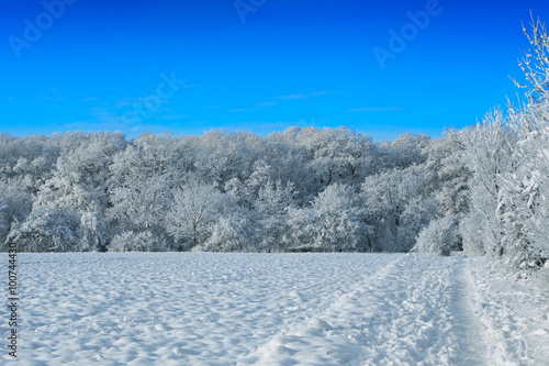 winter landscape © BVpix