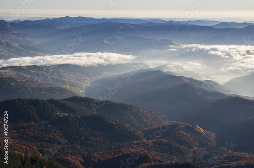 Mountain valley and forest fog © savcoco