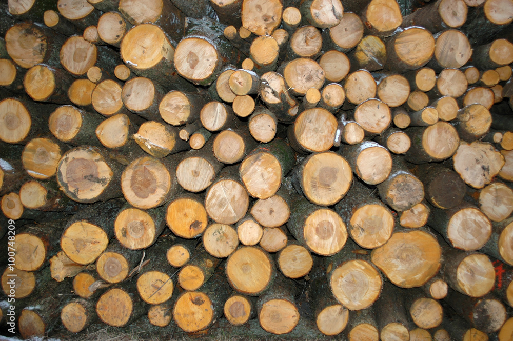 Pile of wood Pile of wood
