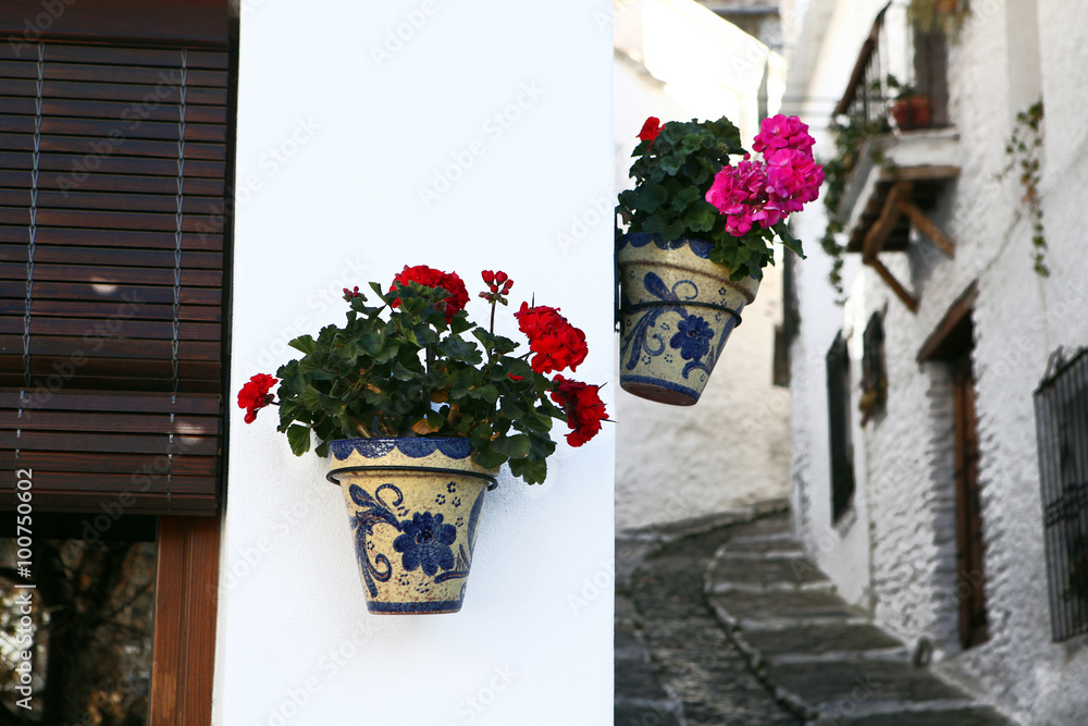 Традиционные испанские керамические горшки с цветами на белом доме


