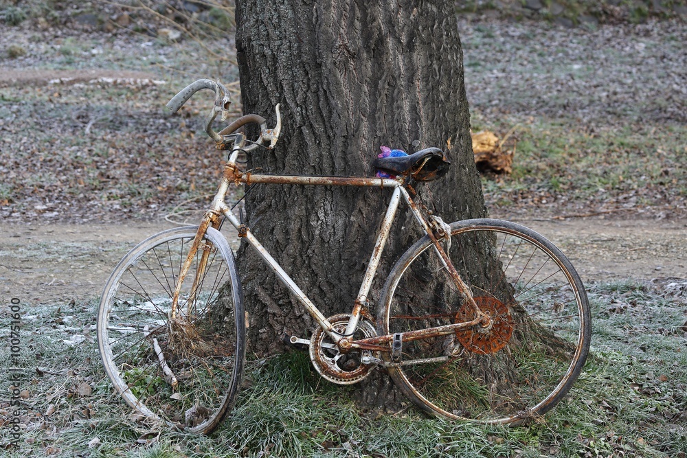 Very old and rusty bicycle - 