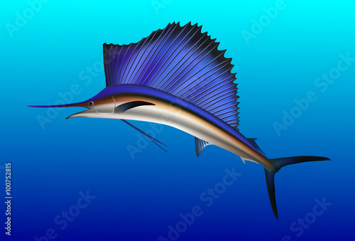 Sailfish jumping out of water. Realistic vector illustration. photo