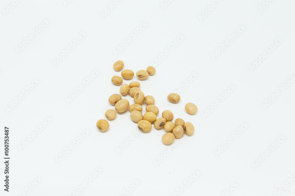 soybean soybean