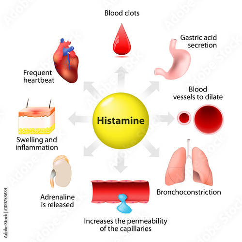 histamine action and adverse effects photo