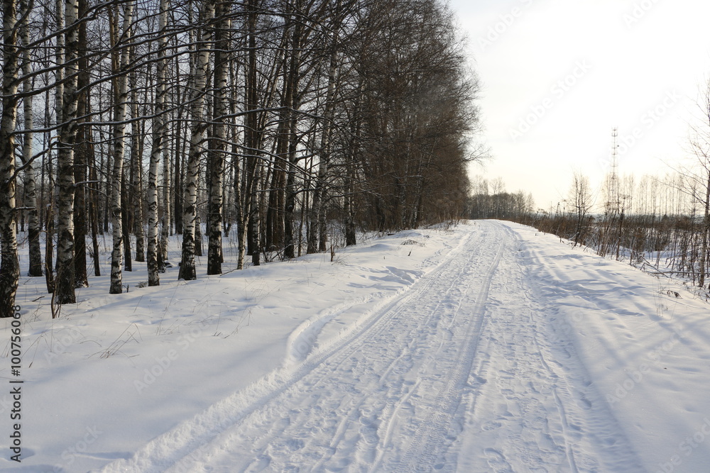 Obraz premium Снежная дорога около леса в зимний солнечный день