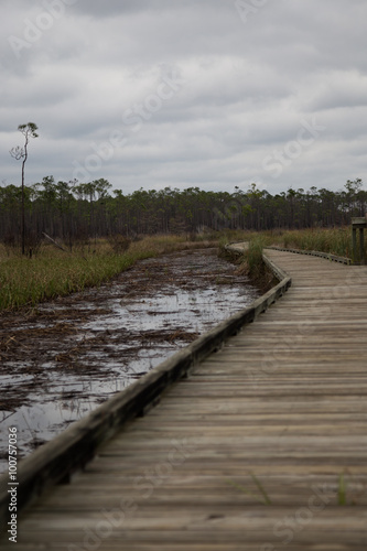 Boardwalk hike through Louisiana marsh wetlands on cloudy day