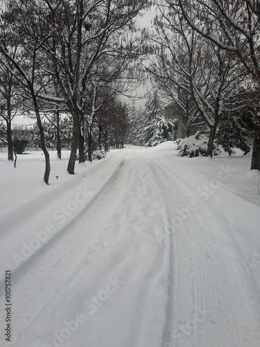Karlı bir kış günü yol ve doğa manzarası beyaz karla kaplı doğa