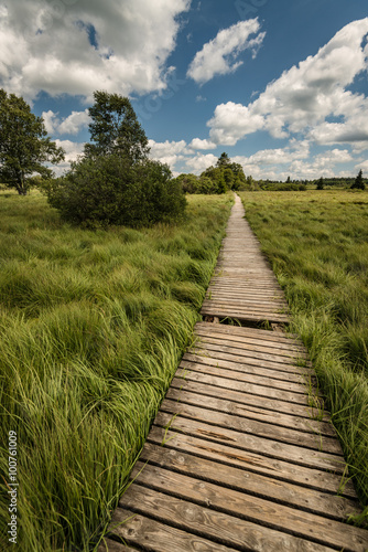 Wege und Pfade in der Hohen Venn