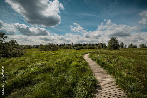 Wege und Pfade in der Hohen Venn