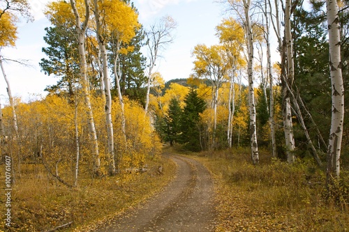 Nicola Valley backroad