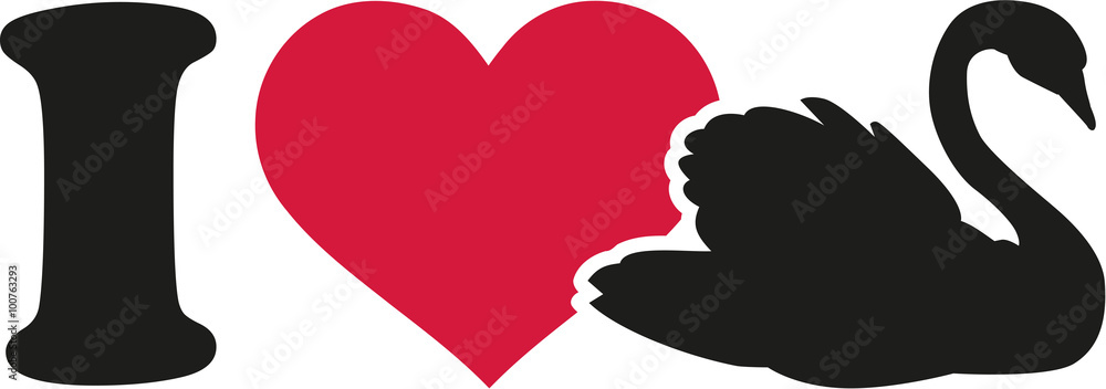 Fototapeta premium Uwielbiam obraz łabędzia