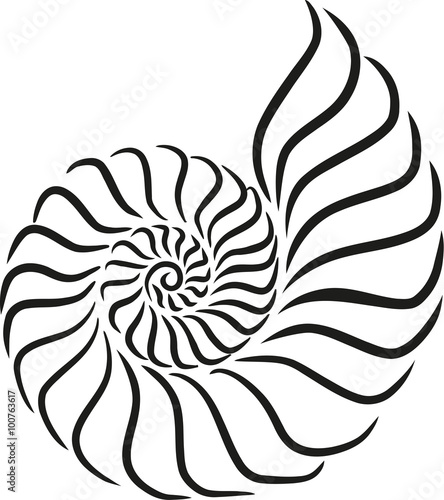 Shell snail caligraphy style