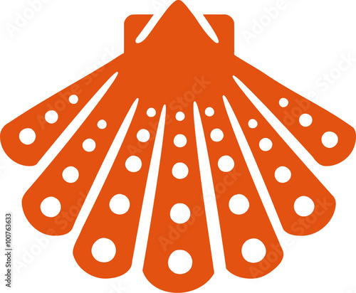 Beautiful shell icon