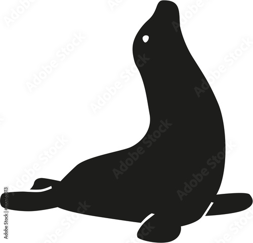 Seal looking to the sky