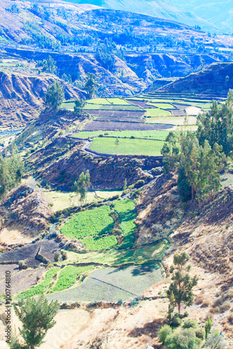 landscape in Andes. Peru.