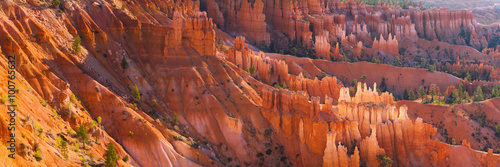 Print op canvas Panorama of the Spires of Bryce Canyon at Sunset