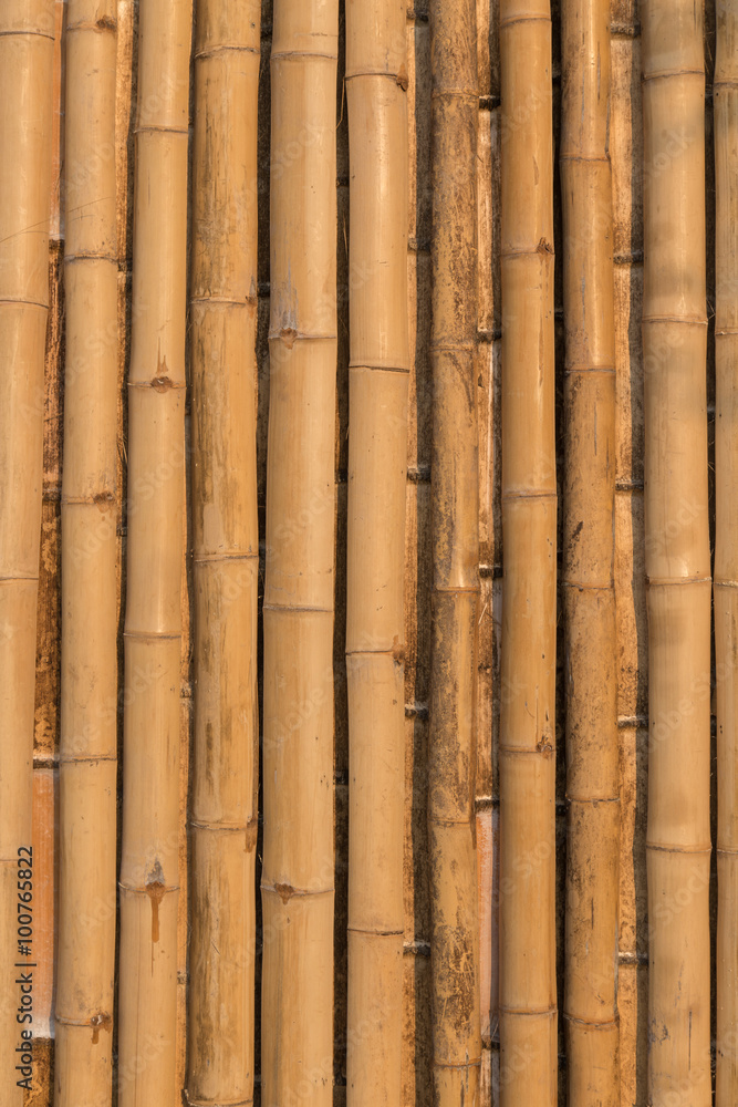 bamboo texture pattern backgroung bamboo texture pattern backgroung