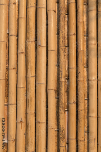 bamboo texture pattern backgroung