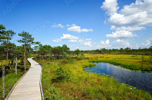 Hochmoor Riisa Raba / Estland