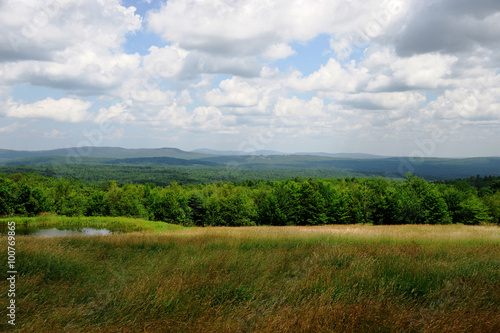 wild nature landscape  forest  mountain and grassland