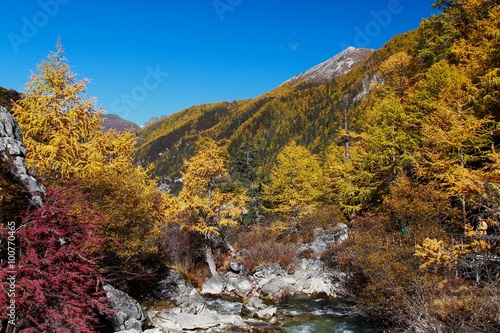  Autumn at Yading Nature Reserve in Daocheng County ,China