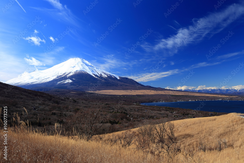 Obraz premium 富士山