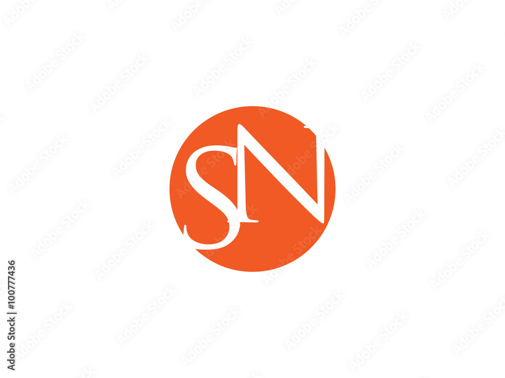 Double SN letter logo