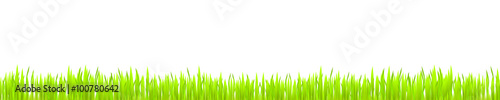 gras wiese grün Hintergrund banner grashalme