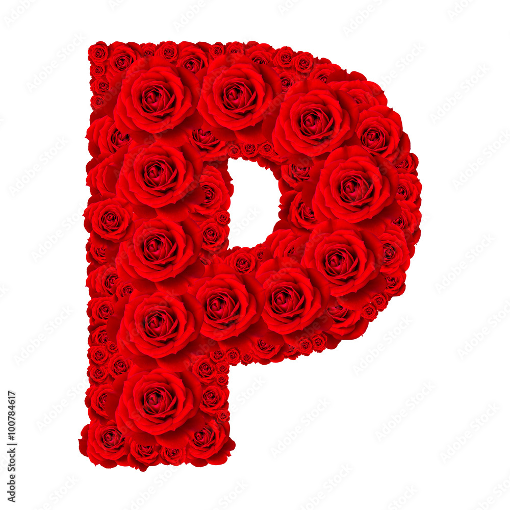 ødelagte Detektiv Indeholde Rose alphabet set - Alphabet capital letter P made from red rose blossoms  isolated on white background Stock-foto | Adobe Stock