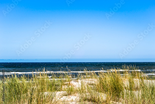 Landscape of sand dune and grass by the sea  summer blue sky