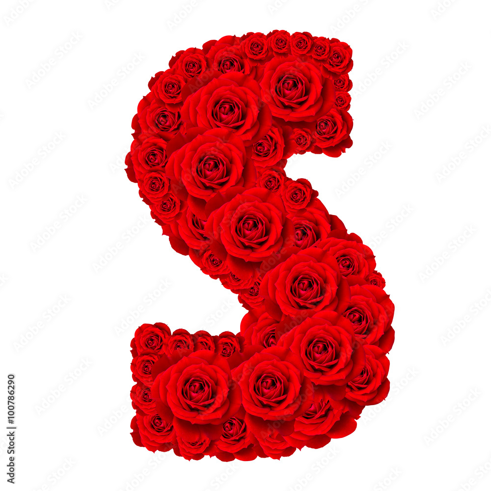 Rose alphabet set - Alphabet capital letter S made from red rose ...