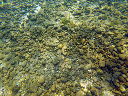 Background of Rocks  Sand  and Algae on the Bottom of a Lake