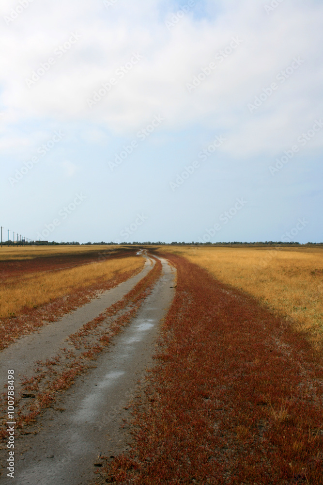 Fototapeta premium road to goal. the red grass trip to target 
