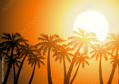 Tropical palm trees silhouette at sunrise