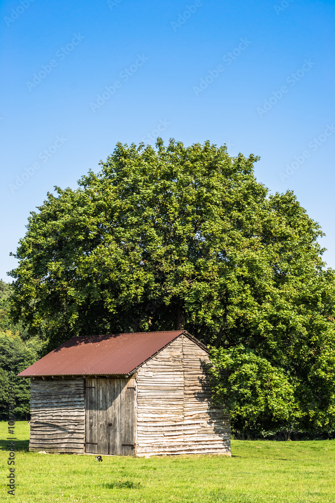 Obraz premium Landscape of rural barn for hay on a meadow