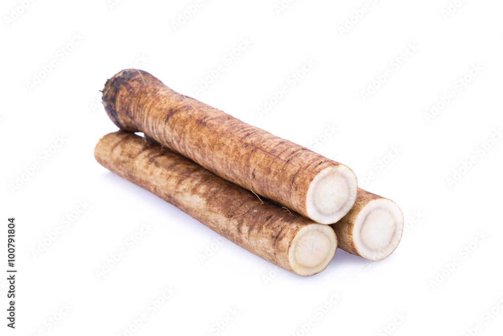 Fresh Burdock roots on white background Fresh Burdock roots on white background