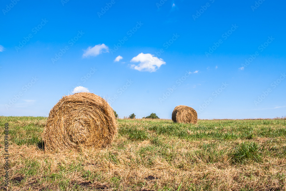 Landscape with straw bales on stubble field. Rural viev