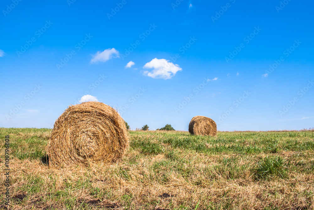 Landscape with straw bales on stubble field. Rural viev Landscape with straw bales on stubble field. Rural viev