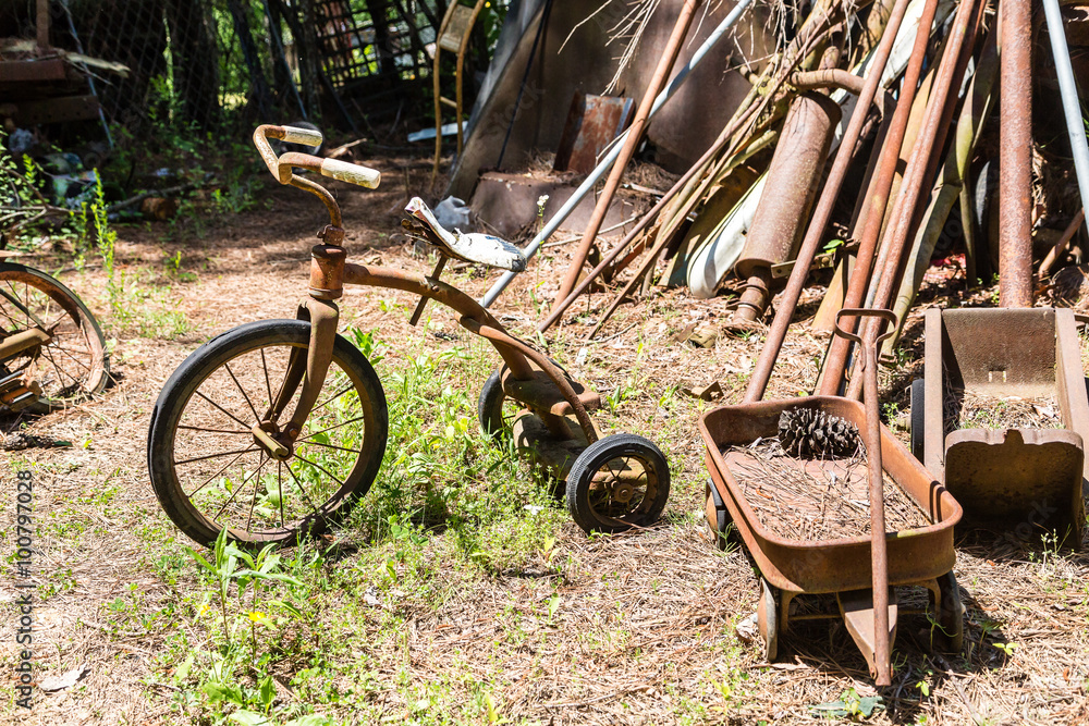 Tricycle and Wagon Tricycle and Wagon