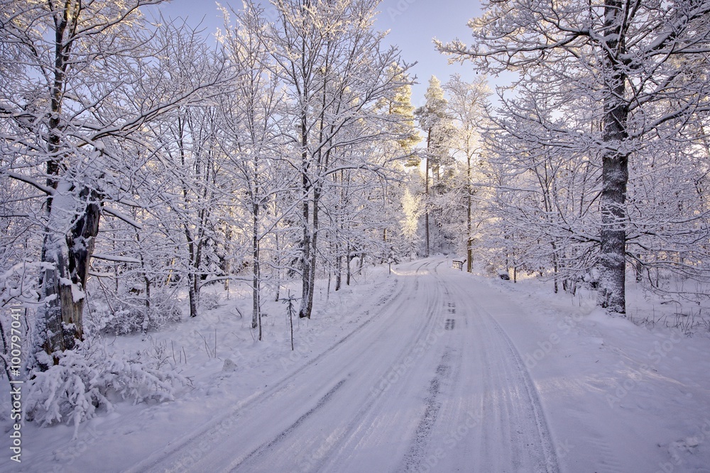 Fototapeta premium Snowy road at Aulanko nature park on a sunny winter day. Snowy trees surrounding the icy road. HDR image.