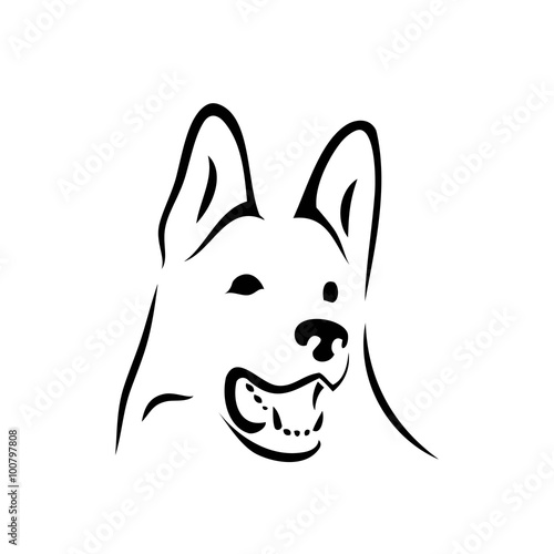 German shepherd dog