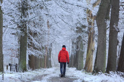 Man in red jacket walking alone in a lane of trees with hoarfrost on a cold winter morning.