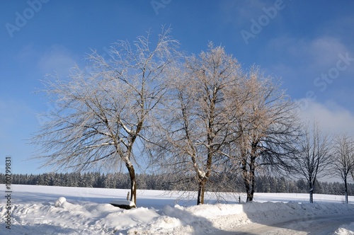 Ernstthal im Winter